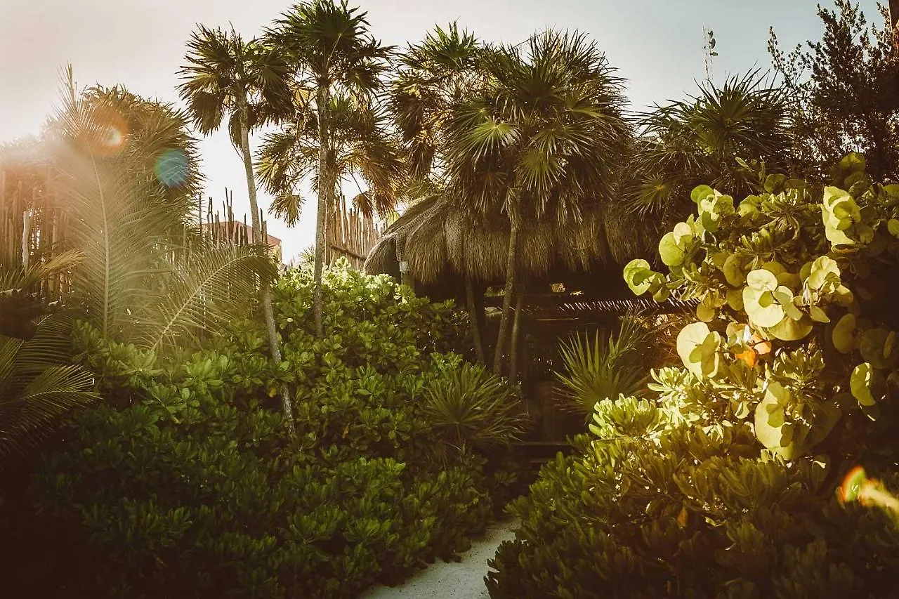 Jashita Hotel (Adults Only) Tulum