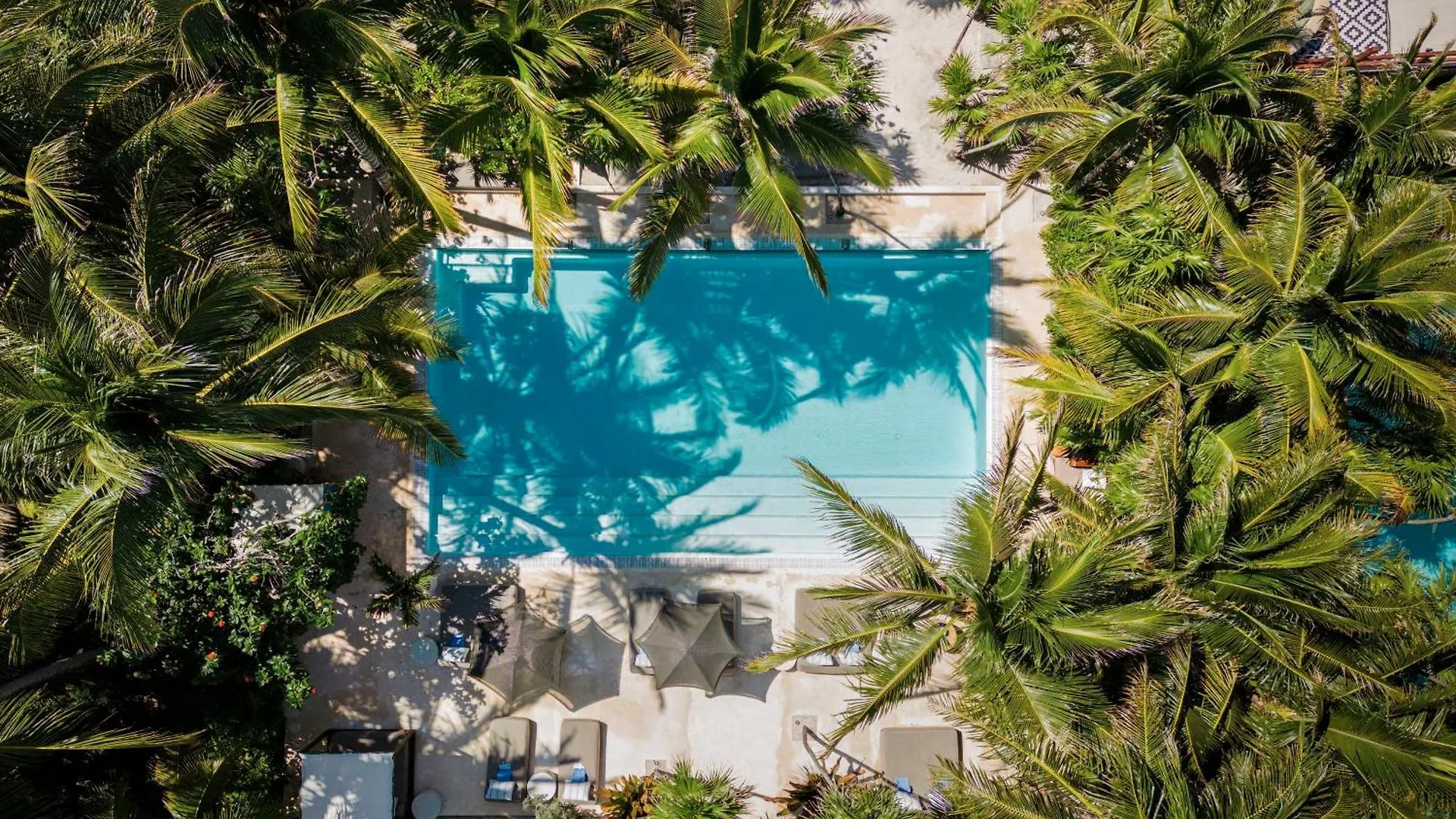 Jashita Hotel (Adults Only) Tulum